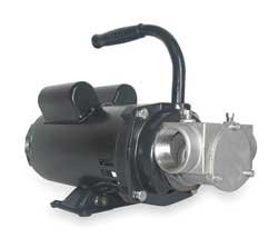 Dayton 3ACC8 Pump, SS, 1 1/2 HP, 115/230V, 17.2/8.6 Amps