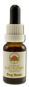 Dog Rose Individual Essences - 15 ml,(Australian Bush Flower Essences)