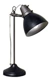 Ott Lite 13 watt Labelle Desk Lamp with Metal Finish