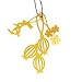 Tord Boontje Charming Package 3 Gold Plated