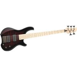 Fernandes Tremor 5X 5 String Electric Bass - Black