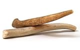 Antler Dog Chew-6_7IN-