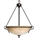 Hinkley Lighting 4114VZ 3 Light Portofino Bowl Large Pendant,