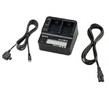 Sony ACVQV10 AC Adaptor/Charger (Black)