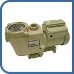 Pentair IntelliFlo Pool Pump 4x160