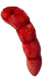 Martian Life in Petri Dish by Giant Microbes
