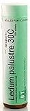 Boericke & Tafel Homeopathics - Ledum Palustre - Single Remedies 30c Potency