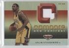 2005-06 Reflections Compare and Contrast Jerseys #GS - Francisco Garcia/Salim Stoudamire/100