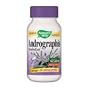Natures Way Andrographis Standardized Extract