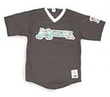 Michigan Battle Cats Minor League Baseball V Neck Adult Jersey