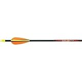 Archery: Beman ICS Junior Arrows