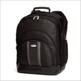 Huge save onsamsonite parts LP220 Laptop Pillow Backpack