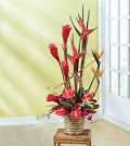 Same Day Flower Delivery Large Tropical Arrangement