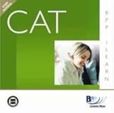 Implementing audit procedures (international stream)