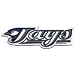 Toronto Blue Jays Magnet