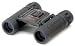 Celestron