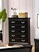 Storage Chest Louis Philippe Style in Deep Black Finish
