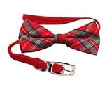 Cat Collar with Bow Tie, Red Plaid (10" x 3/8)