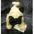Lil Kinz Pug