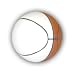 Signature Series Mini Basketball