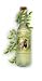 Gourmet Food : PogaMoonga Juice - (Moringa, Aloe Vera, Pomegranate Juice Blend) 1 Ounce a day is all you need...