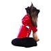 Cha-Cha Couture Ladybug Red Doggy Raincoat (large - For Dogs 16-32lbs)