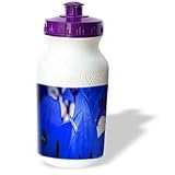 Yves Creations Wedding - Engagement Ring on Blue Floral - Water Bottles