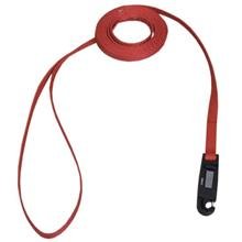 Coastal Pet Li`l Pals Nylon Dog Leash Training Lead (Blue, 6 ft. L x 5/16 inch W)