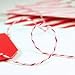 Peppermint Divine Twine