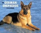 Just German Shepherds 2008 Wall Calendar - Dog Calendars