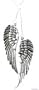 Beautiful Double Angel Wings Charm Necklace ~ Antique Silver Finish (Antique Silver Fulfilled by Amazon)