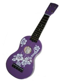 Ukulele Hibiscus (Purple)