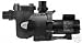 Jandy Stealth 2 HP 2 sp FR Pool Pump SHPF2.0-2 SHPF202