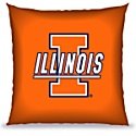 Review Biederlack M7080 / Biederlack NCAA Illinois Floor Pillow