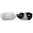 Kissing Pigs Salt and Pepper Shakers
