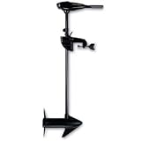 Minn Kota Endura Freshwater 30 Transom Mount Trolling Motor (30lbs thrust, 30' shaft)