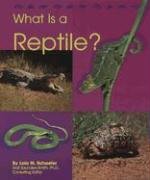 What Is a Reptile? (The Animal Kingdom)