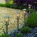 Apollo stainless steel low voltage lights