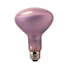 75 Watt Full Spectrum Flood Light Bulb True Daylight--Full Spectrum Incandescent Flood R30... by Bulbrite