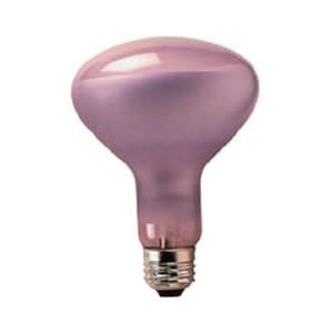 Full Spectrum 75 Watt Reflector Neodymium R30 Light Bulb, Flood
