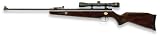 Beeman® Dual Caliber Air Rifle with Scope and Carry Bag