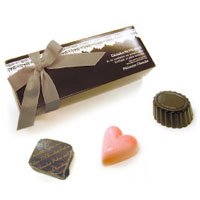 チョコ　マグネット　ギフトセット　3個入　Dタイプ