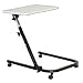 Ergonomic Office Ball Chairs - Dr. Riter Ergo Chair Proper Posture Ball Chairs