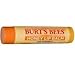 Burt's Bees Honey Lip Balm 12 Pack