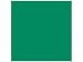 ColorMates 12x12 Classic Dark Emerald Isle- 65lb