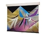 Draper Luma projection screen