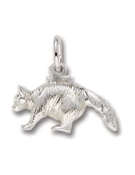 Racoon Charm