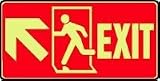 EMERGENCY AND FIRE E EXIT (W/GRAPHIC) (ARROW) (GLOW) 7