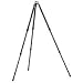 Gitzo GT3530 6X Carbon Fiber 3 Series 3 Section G-Lock Mountaineer Tripod