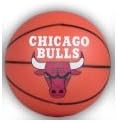 NBA Chicago Bulls Mini Plastic Ball